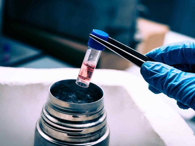 Improved Detection of Acute Lyme Disease