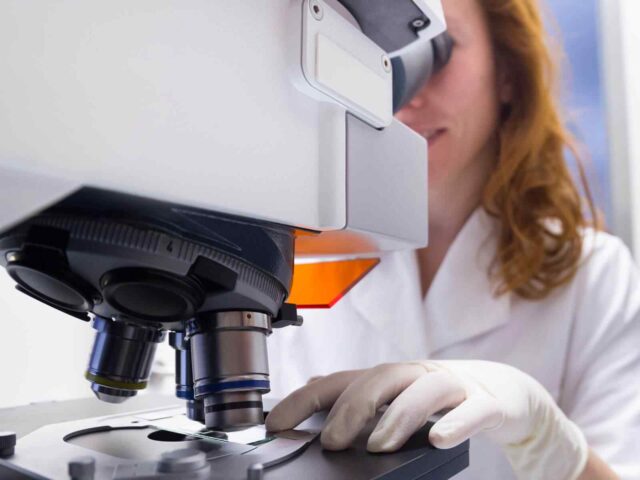 IT Solutions in The Clinical Lab